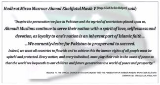 We earnestly desire Pakistan to prosper and to succeed