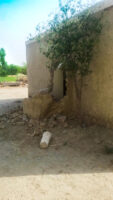 Ahmadiyya Mosque Desecrated in DIST. MUZAFFARGARH