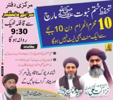 TLP’s modus operandi concerning Ahmadis